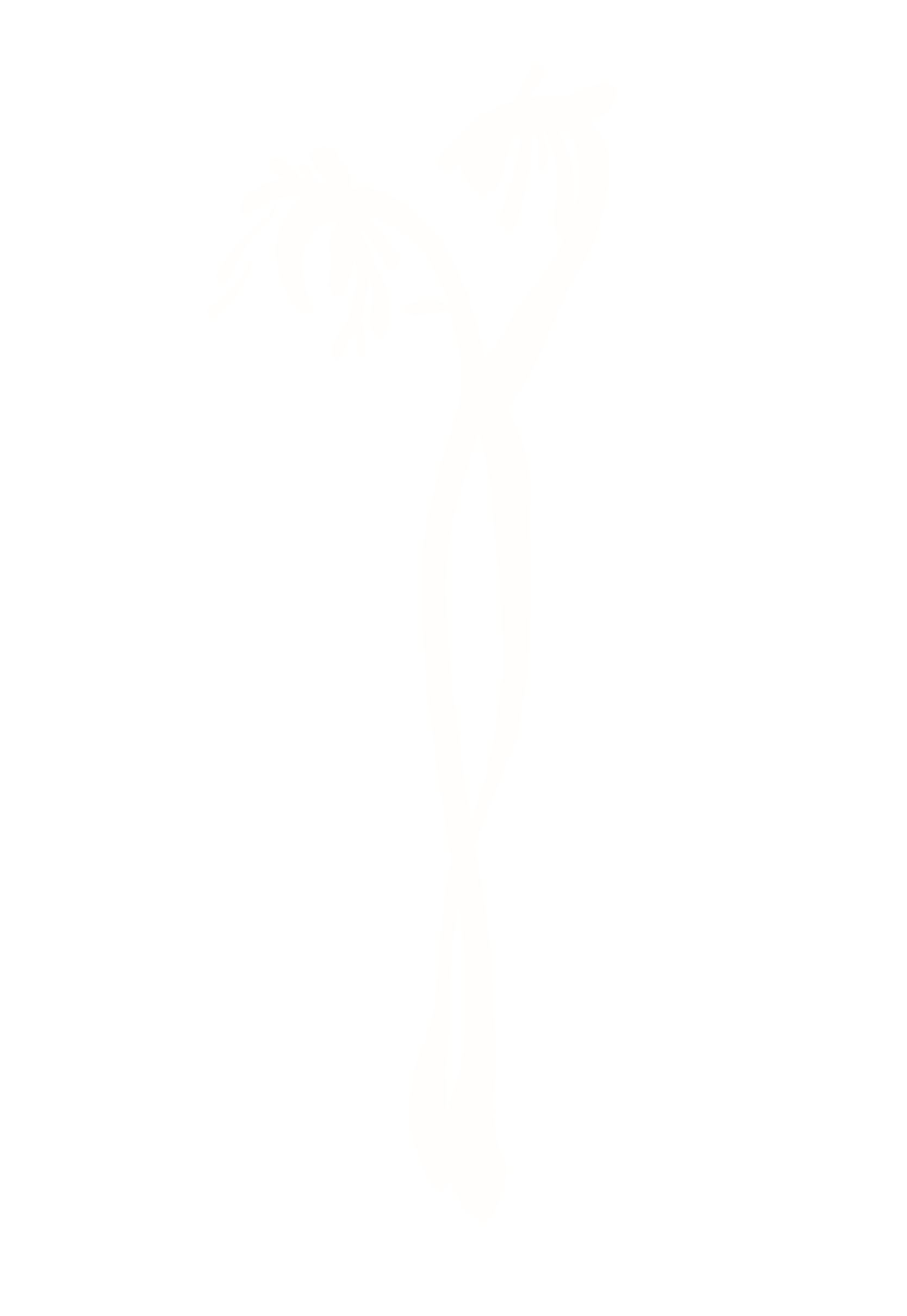 고사리