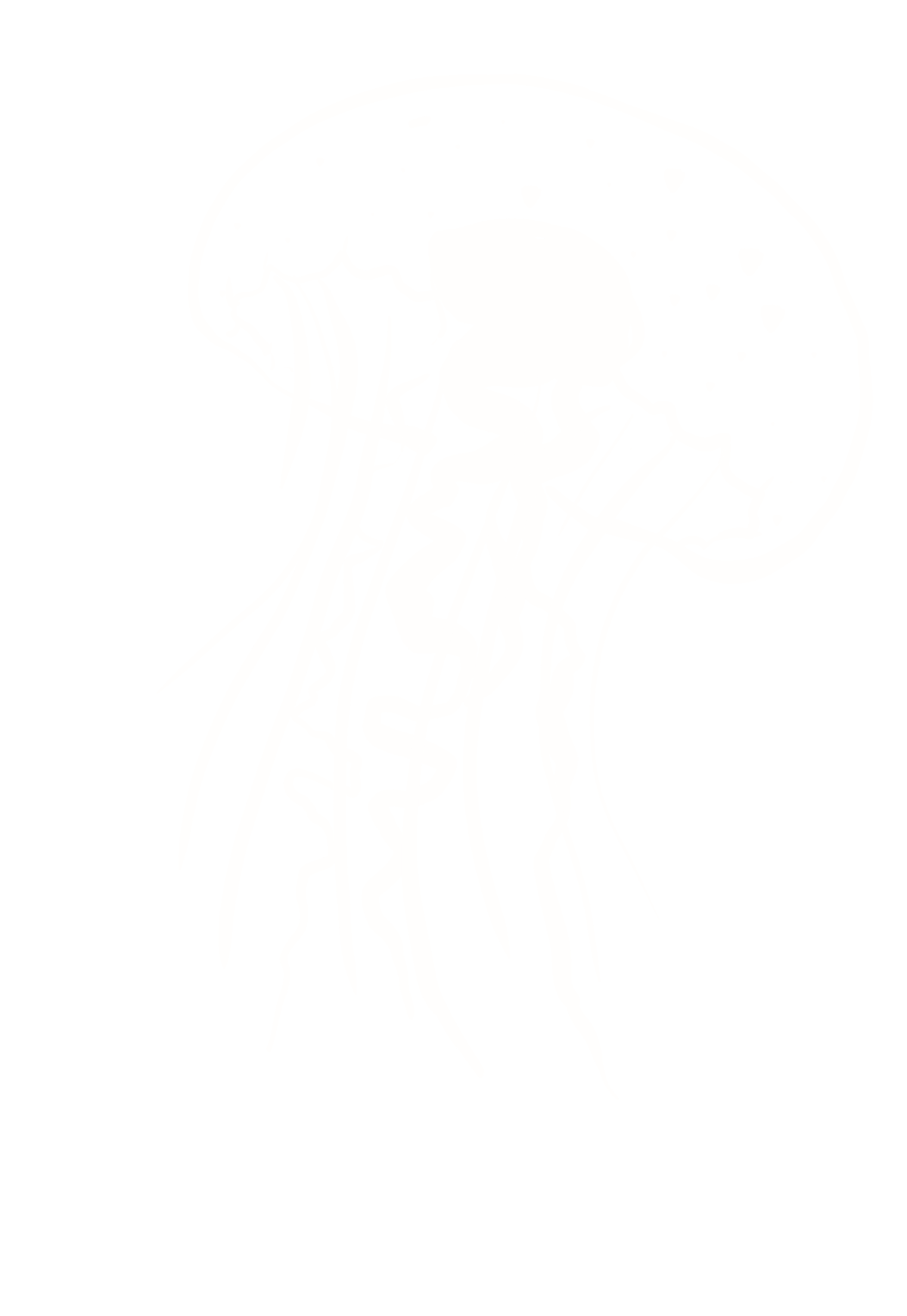 해파리