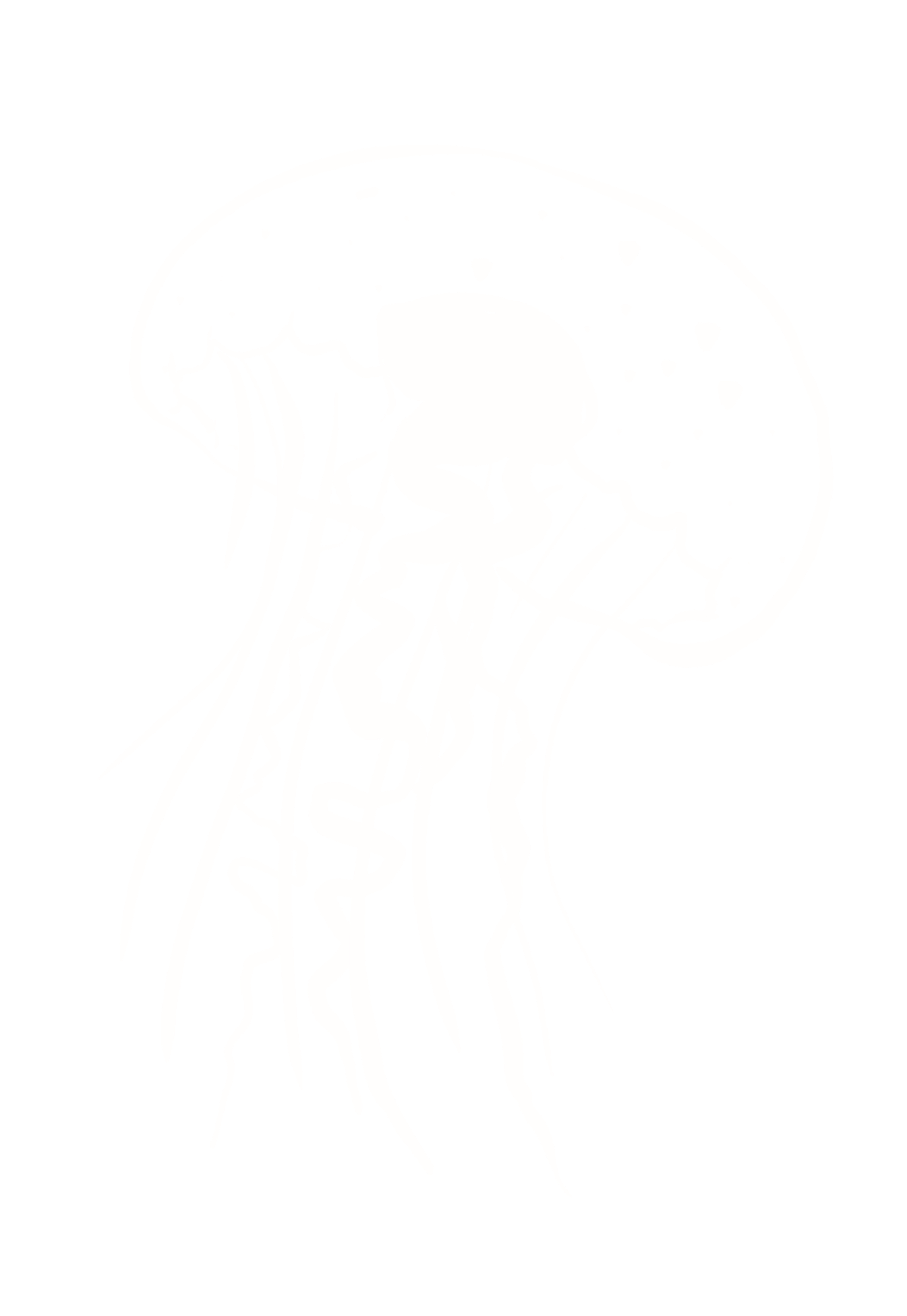 해파리