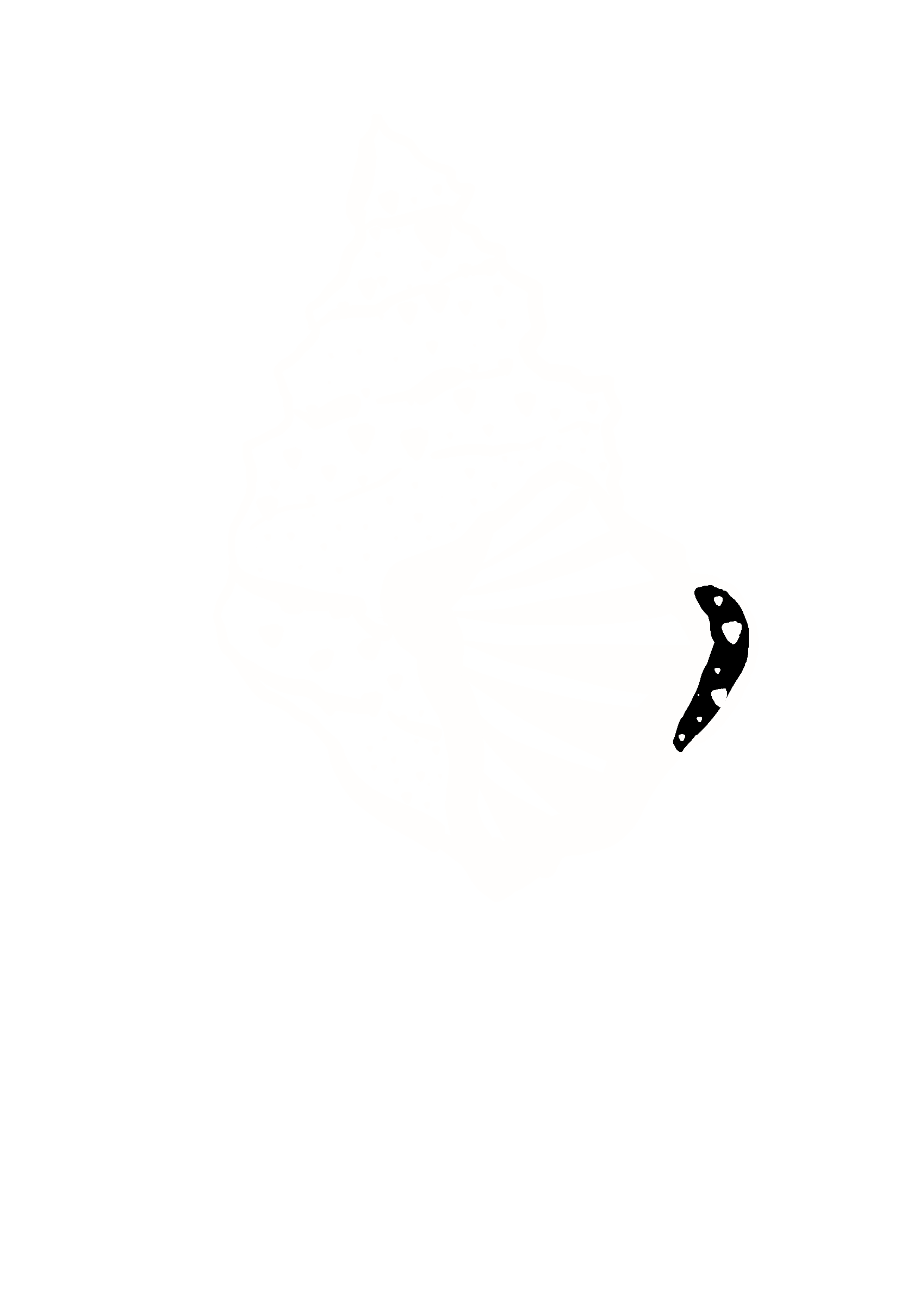 소라